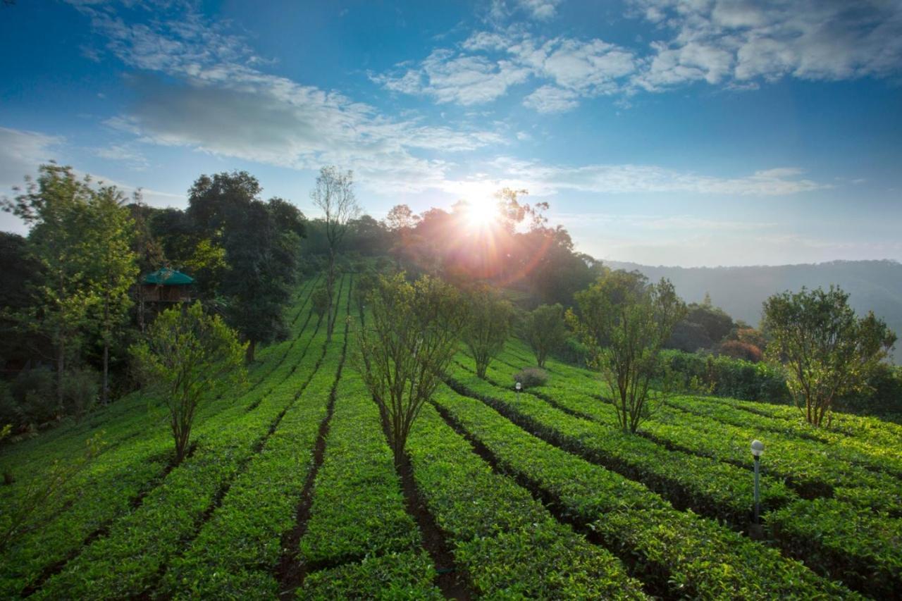 Sisiram River Side Munnar Dış mekan fotoğraf