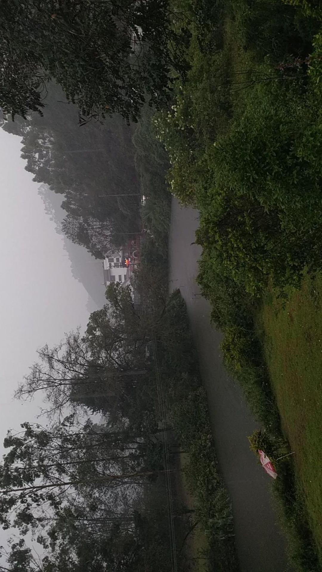 Sisiram River Side Munnar Dış mekan fotoğraf